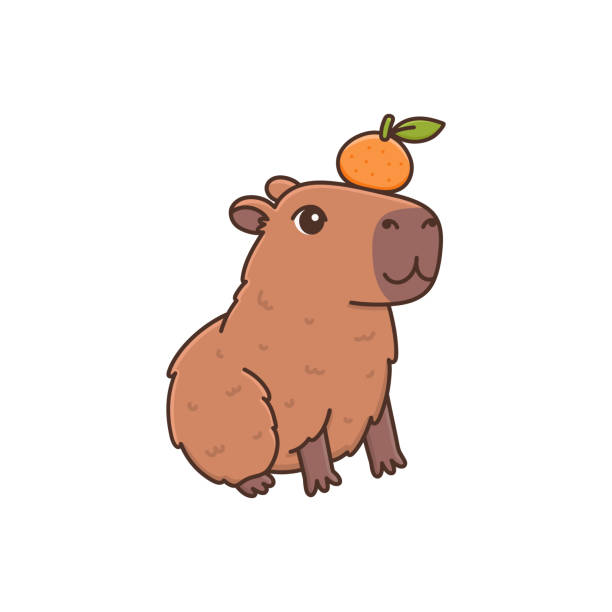 Benjamin Dumont - Chuiguire Técnico