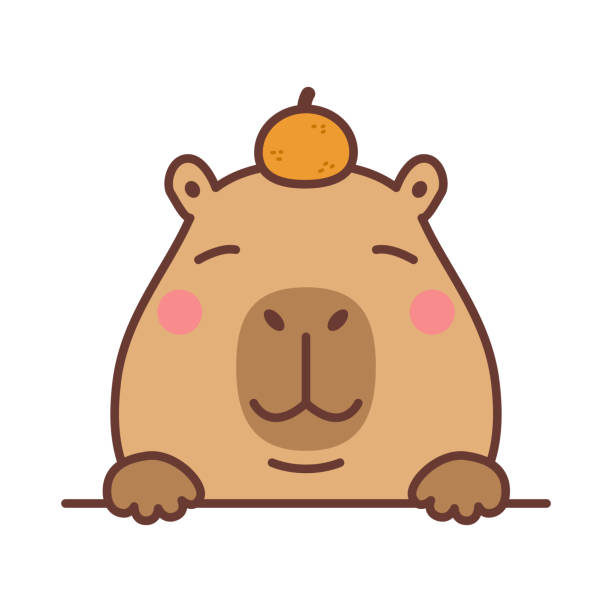 Laura Linares - Chuiguire Técnica